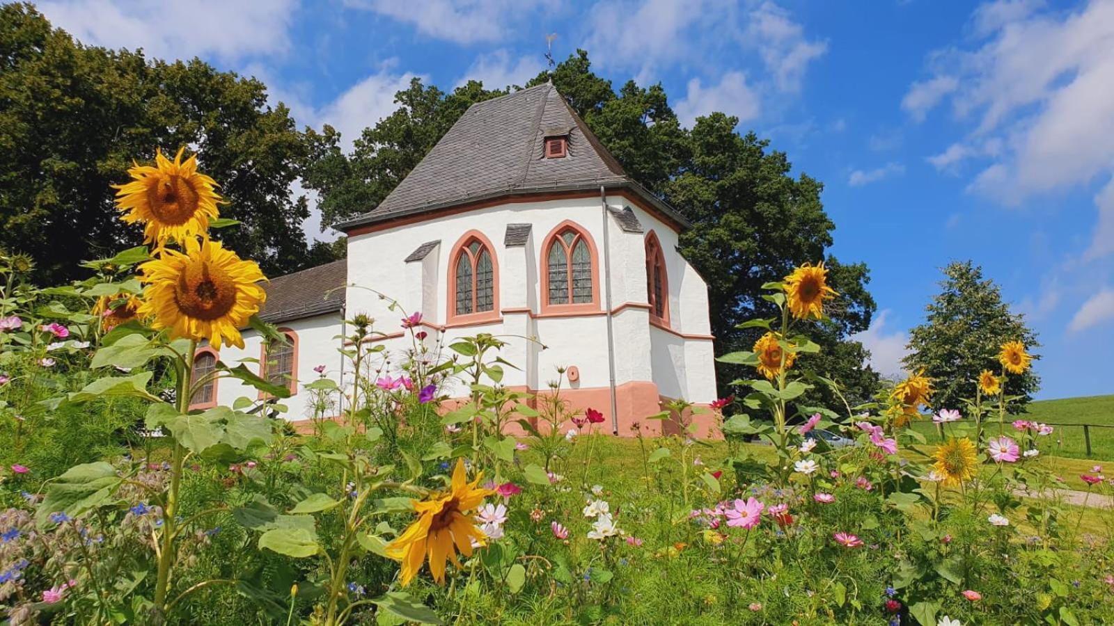 Ferienhaus Deine Zeit Mit Sauna Und Wallbox Nettersheim 外观 照片